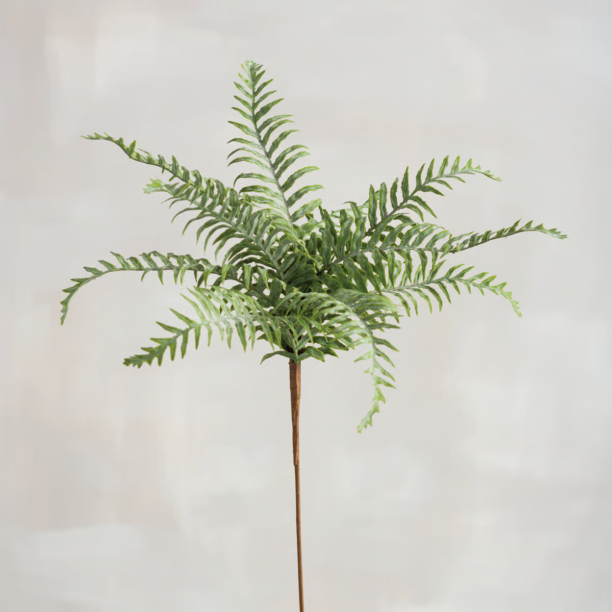 Marsh Fern Floral Pick