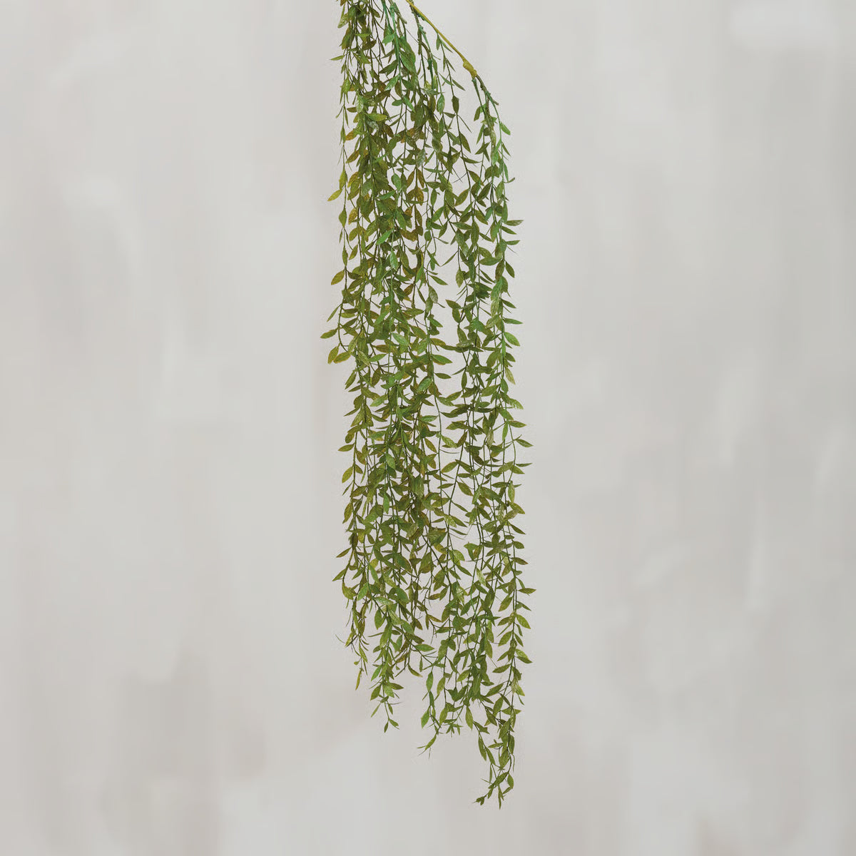 Ruscus Vine Floral Pick