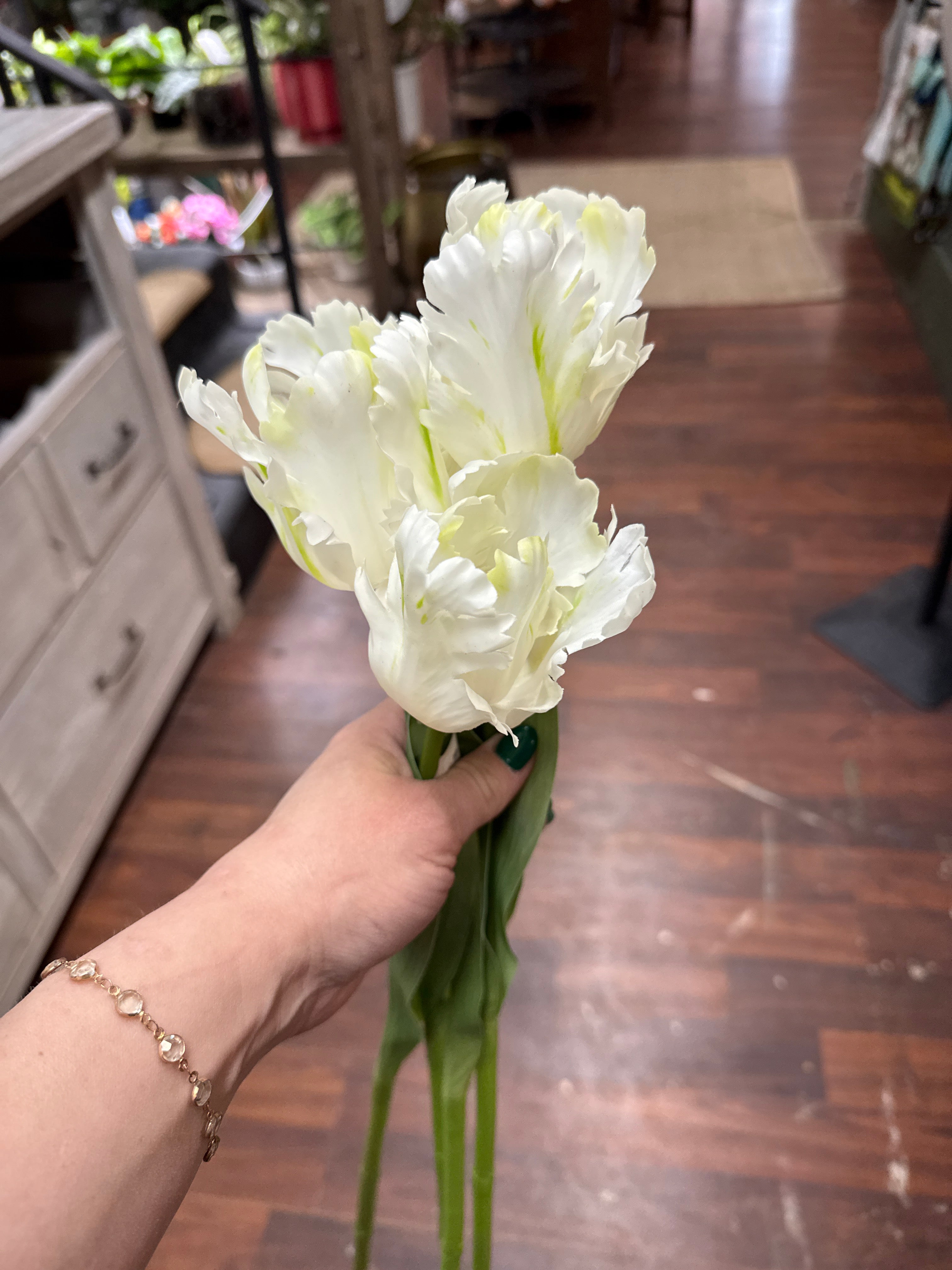 Parrot Tulips