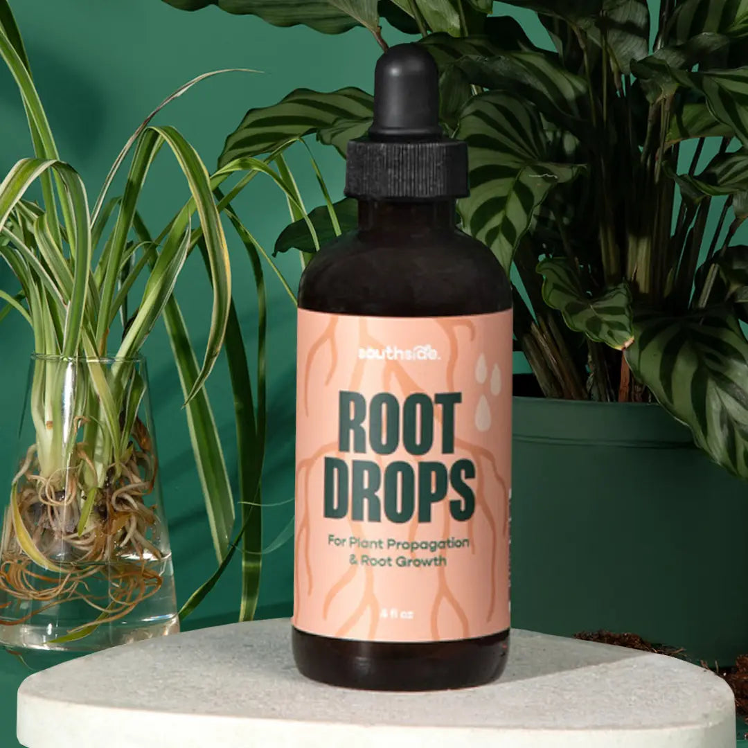 Root Drops - For Propagations & Repotting