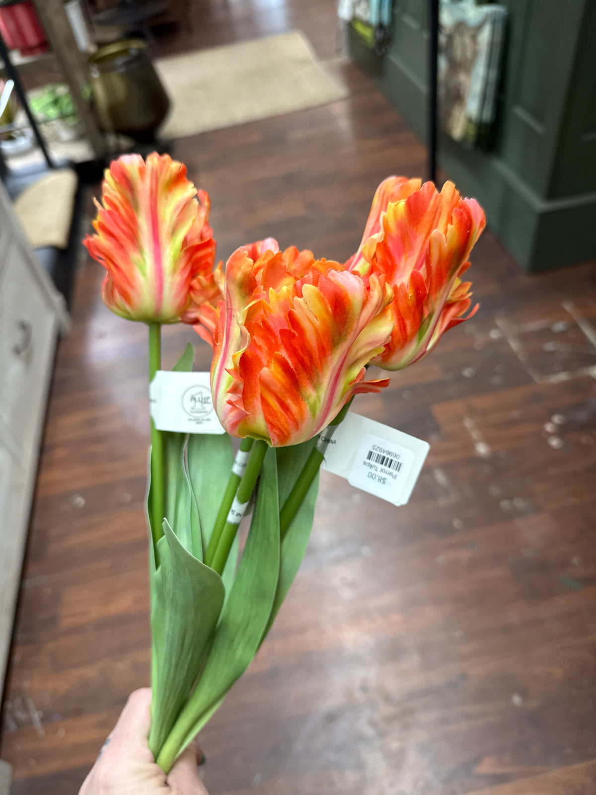 Parrot Tulips