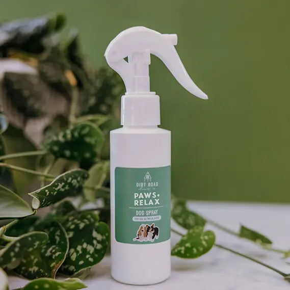 Dog Conditioning Spray