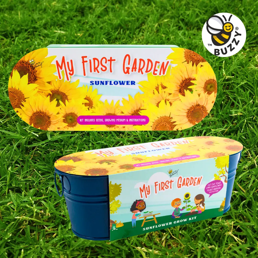 Painted Windowsill Grow Kit