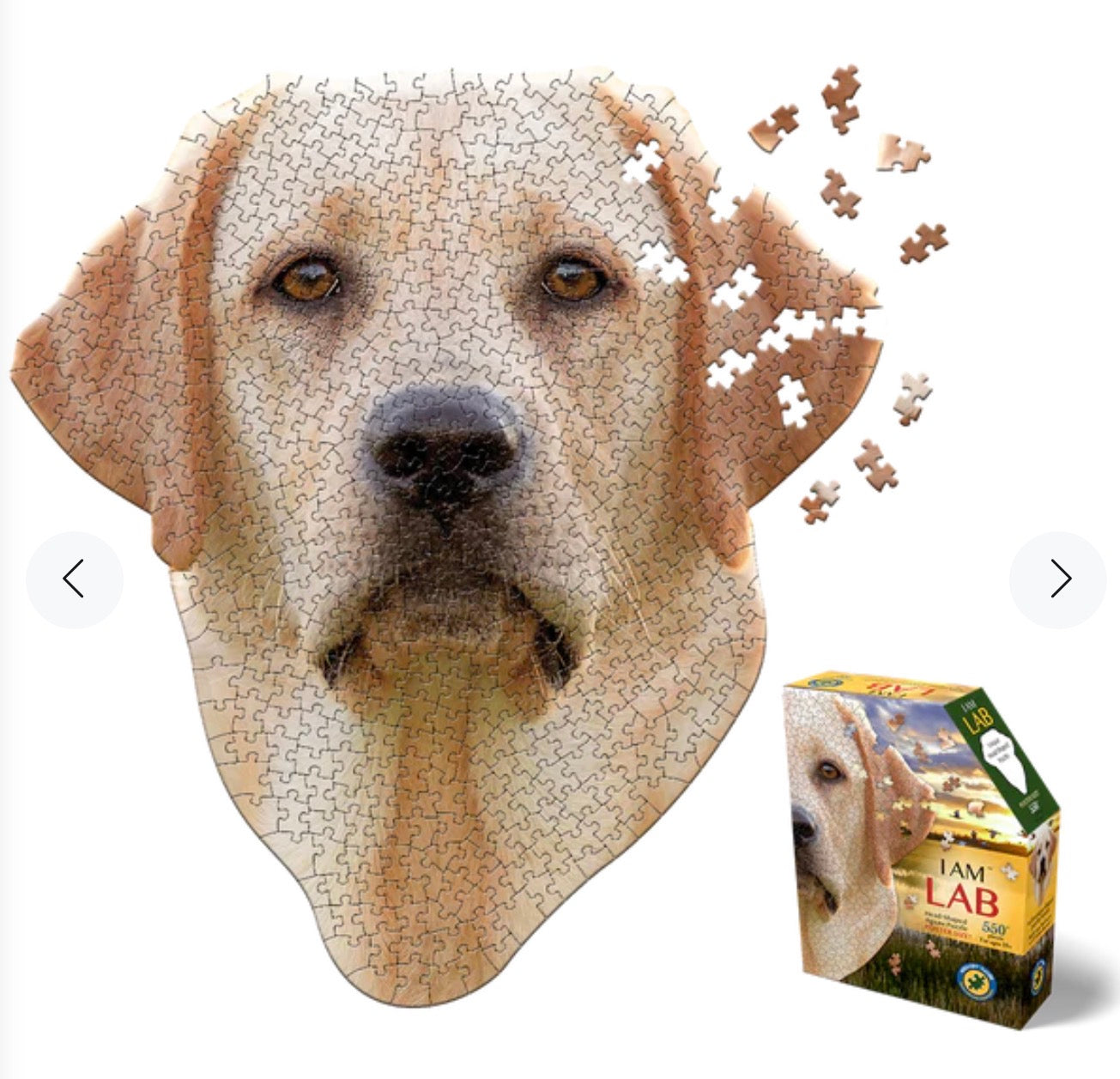 Lab Puzzle