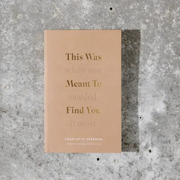 This Was Meant To Find You (When You Needed It Most) Book