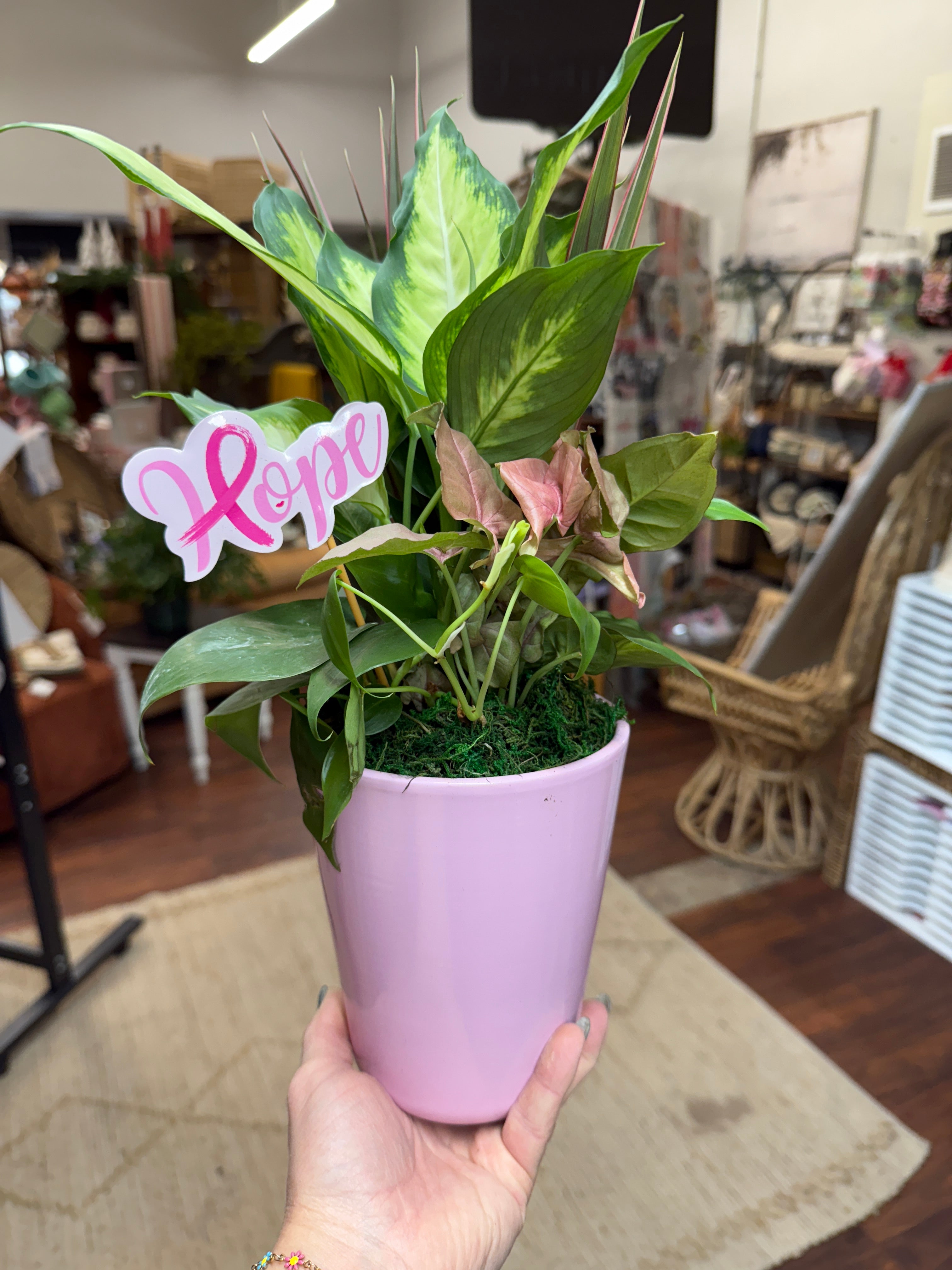 Breast Cancer Awareness Dish Garden