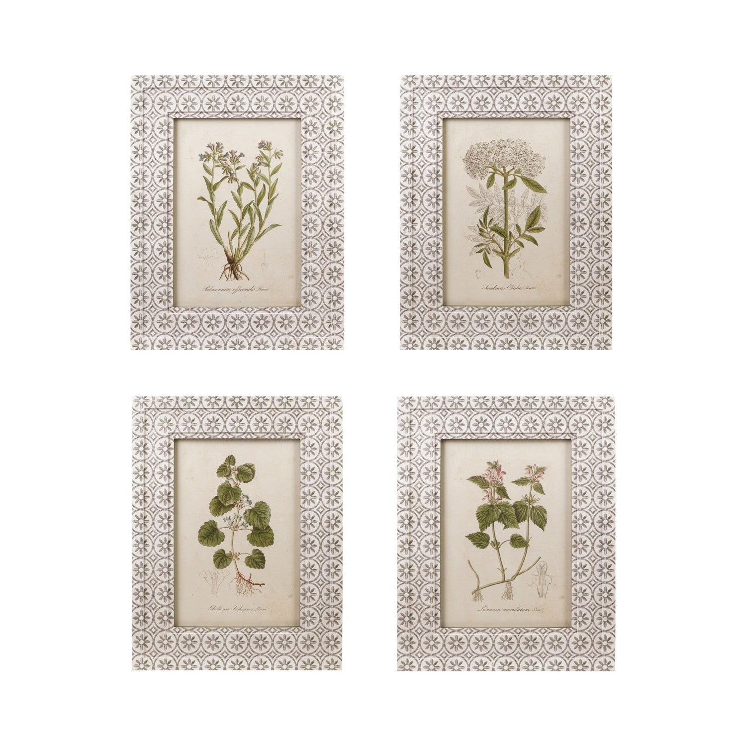 Wall Decor with Vintage Reproduction Image Floral