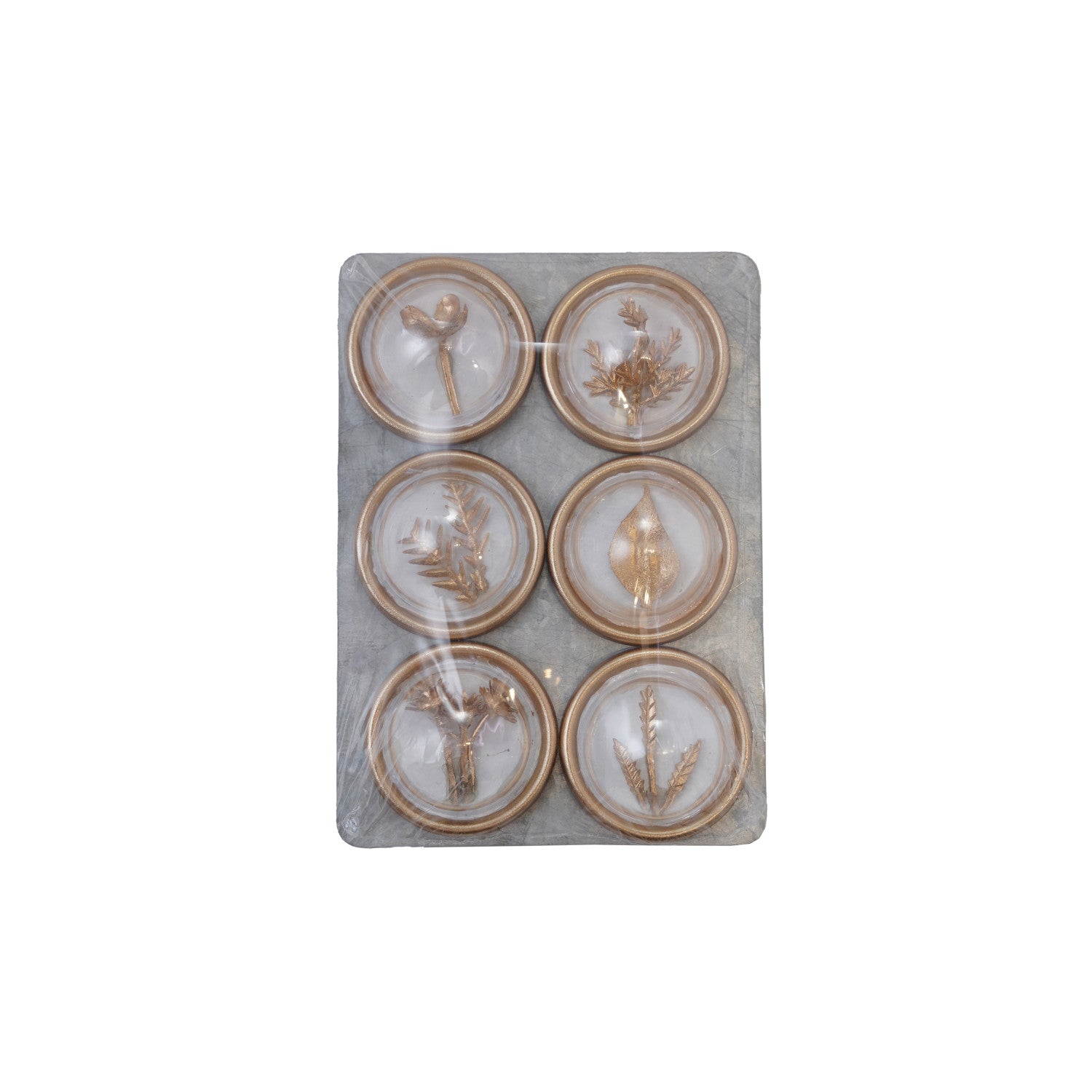 Resin Convex Magnets on Metal Card with Botanicals