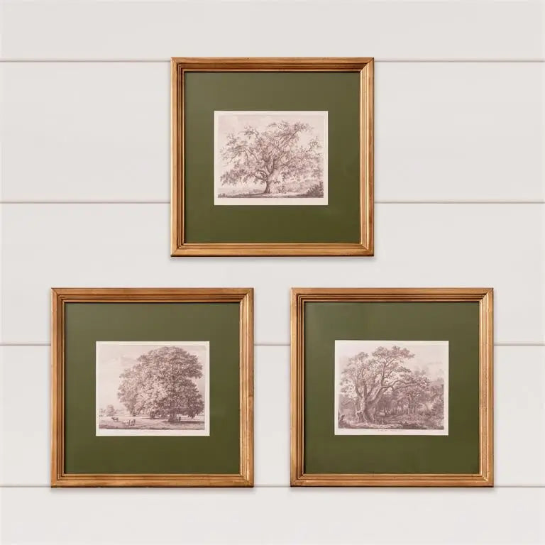 Olive Matted Tree Sketch