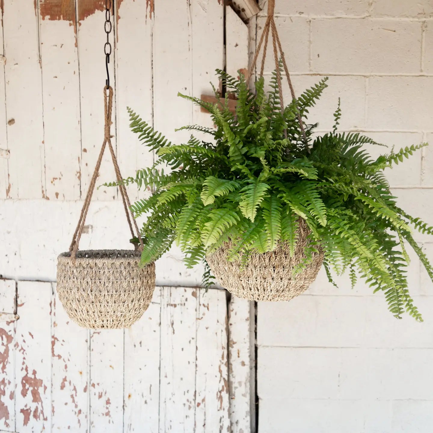 Hanging Seagrass Basket