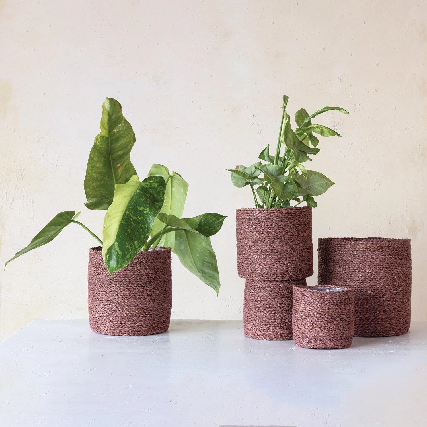 Purple Plant Basket Liners