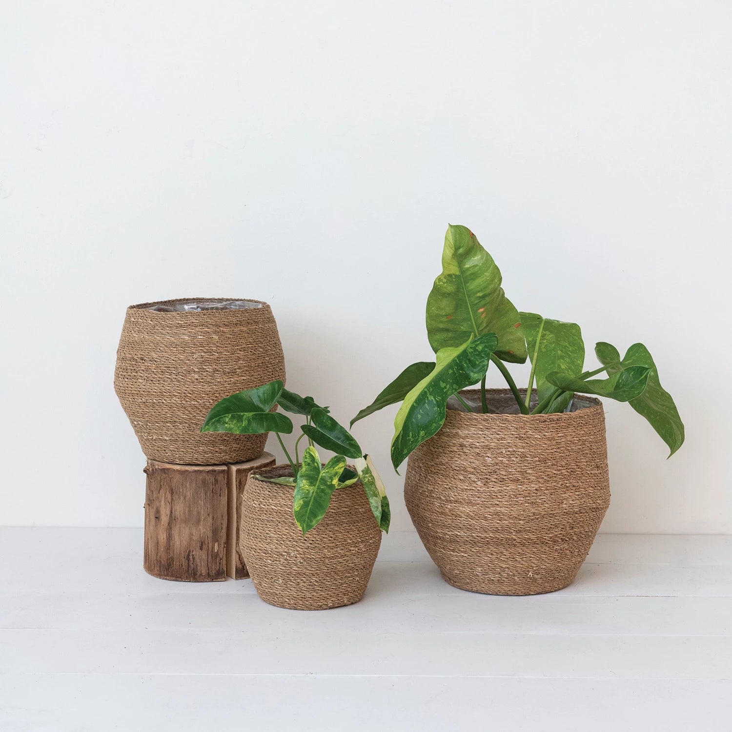 Decorative Woven Seagrass Baskets