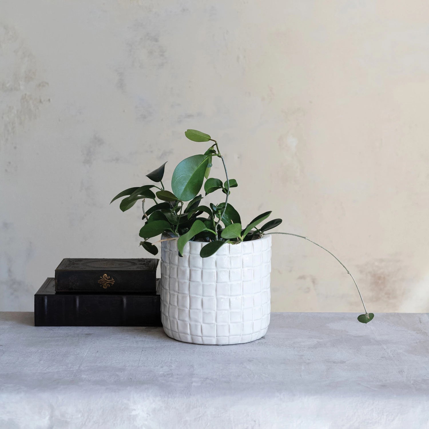 Stoneware Planter with Woven Pattern (Holds 7" Pot)