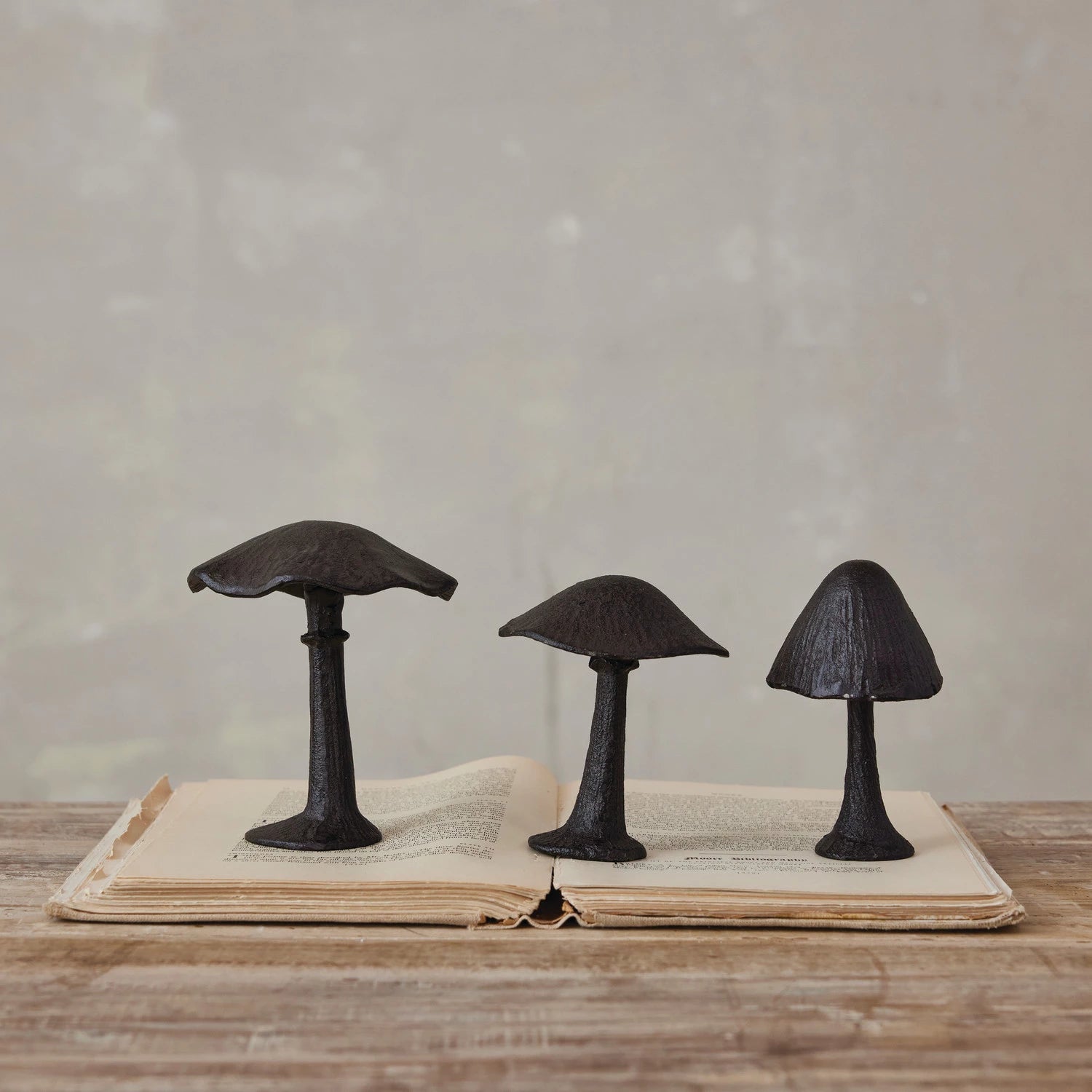 Cast Iron Mushroom