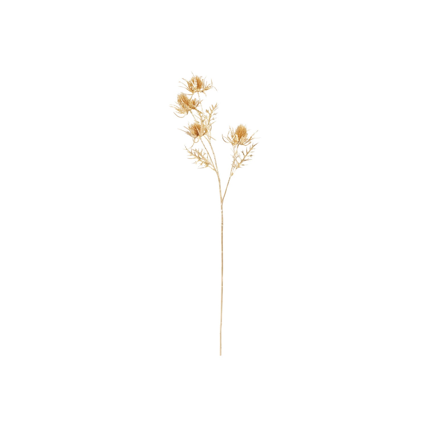 Thistle Spray