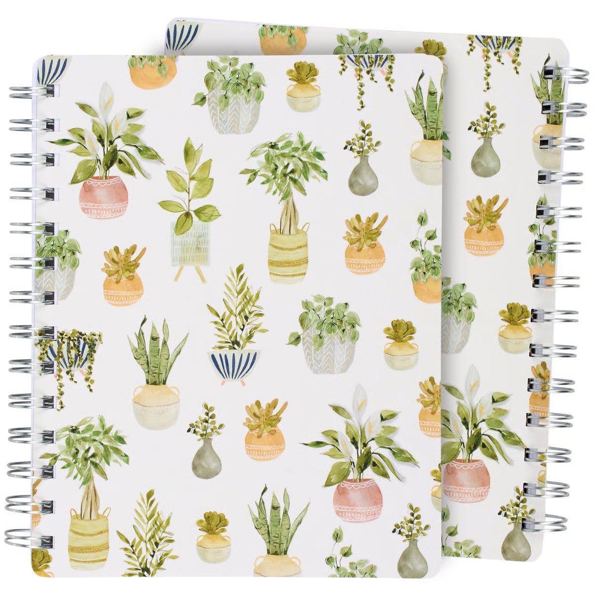 Plants Notebook