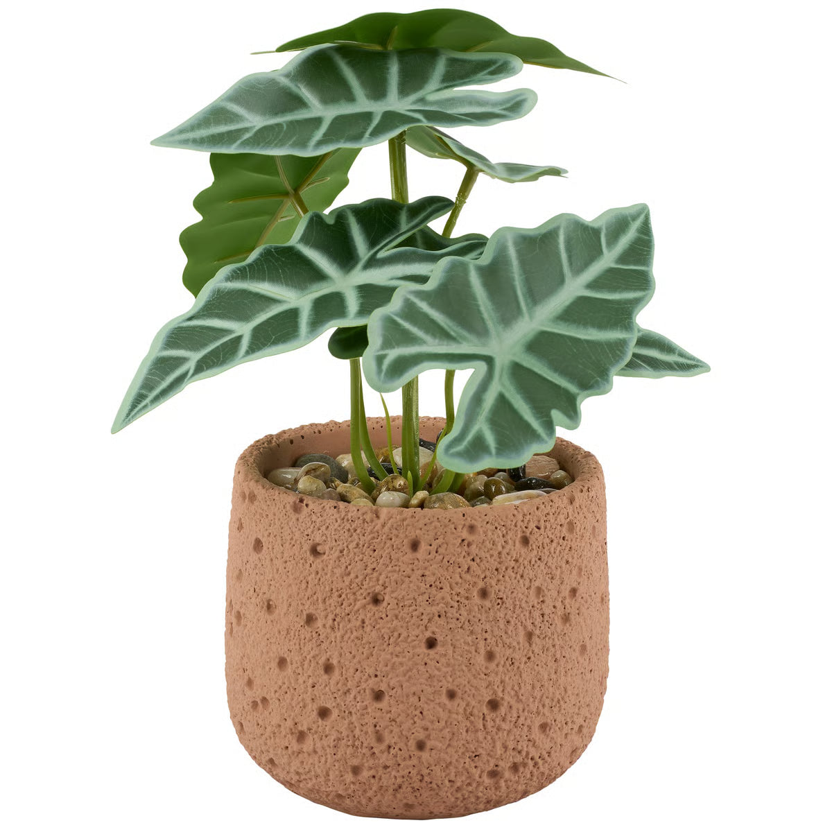 Elephant Ear Planter