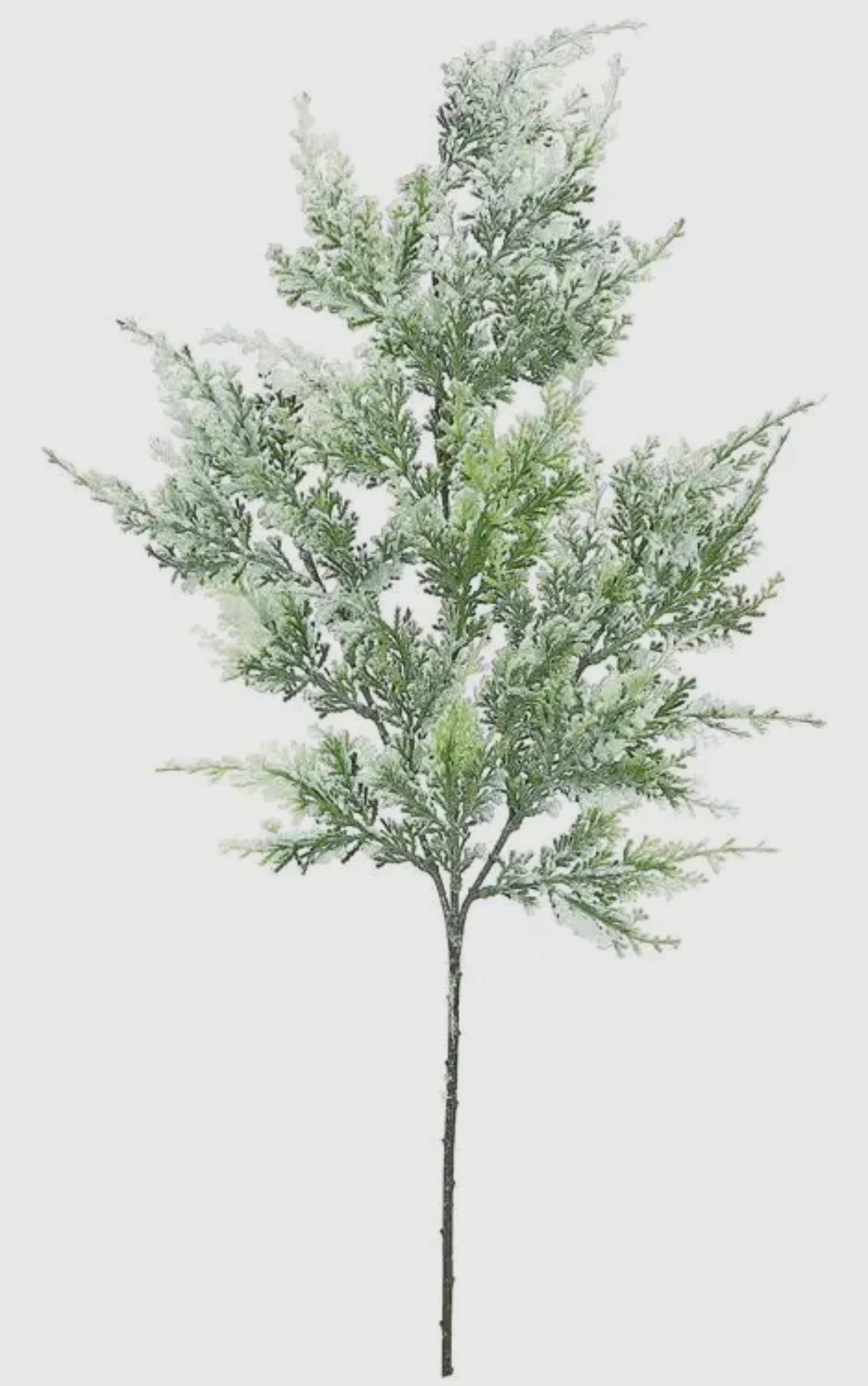 Snow Cedar Spray