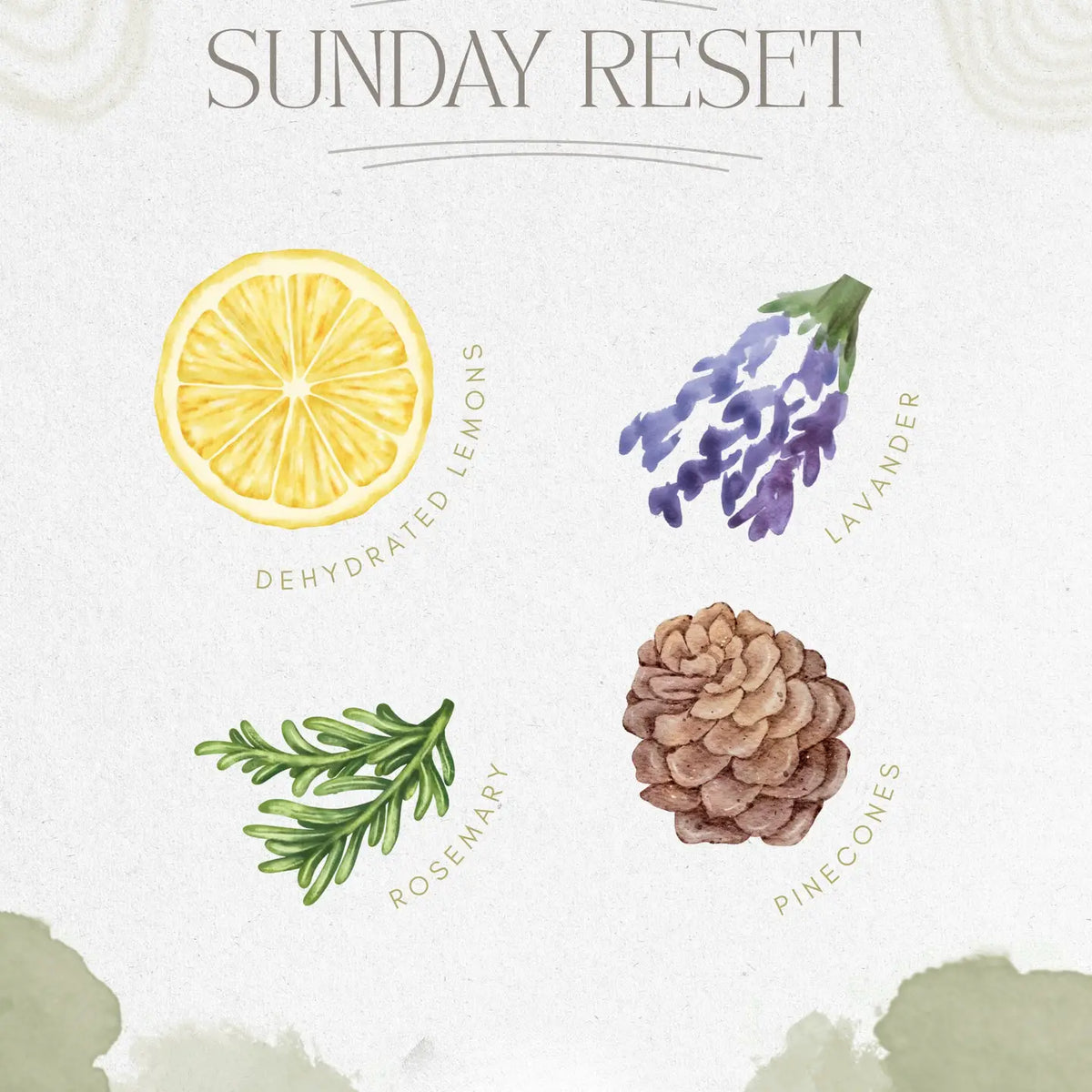 The Sunday Seed Simmer Pot
