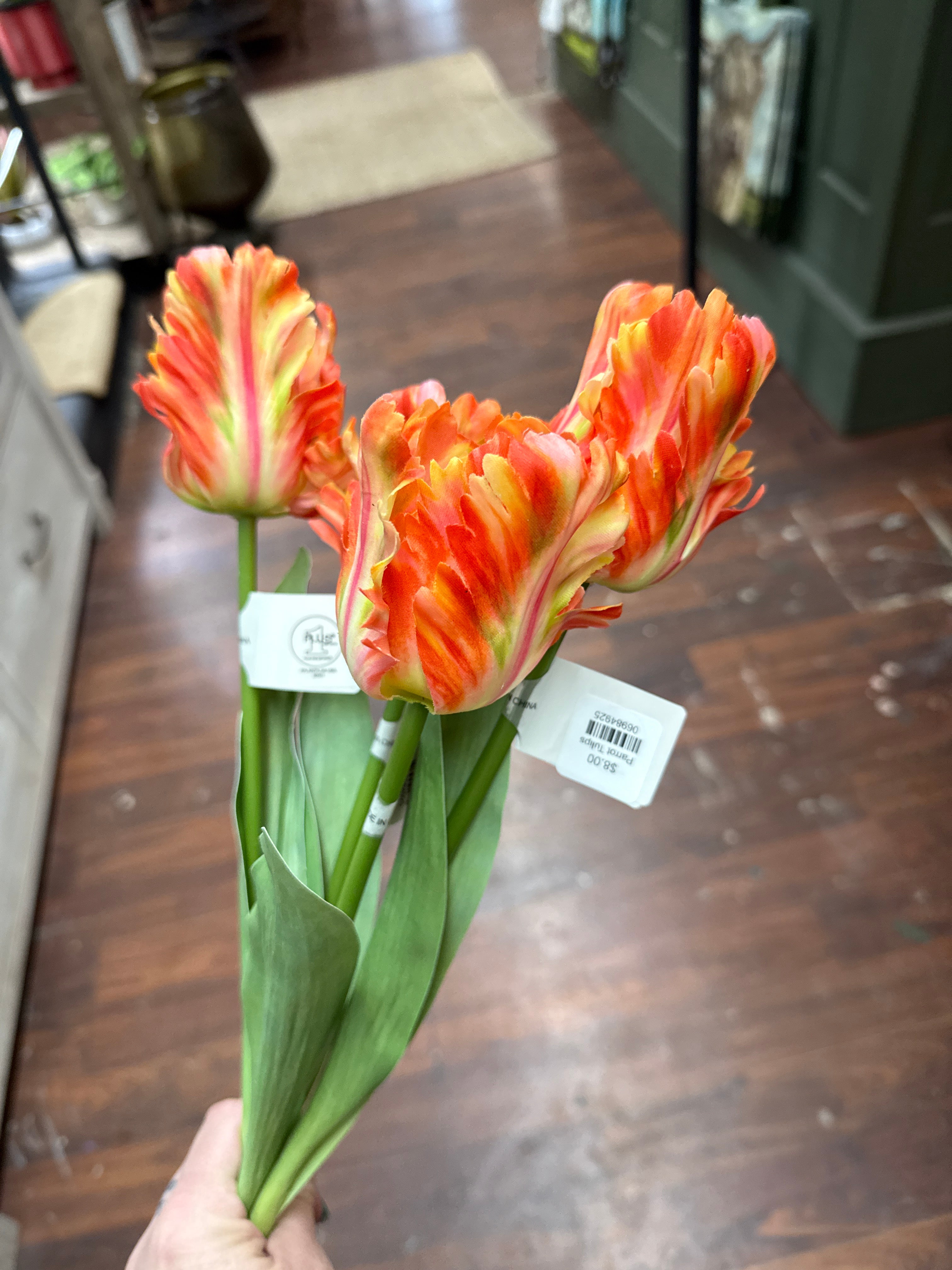 Parrot Tulips