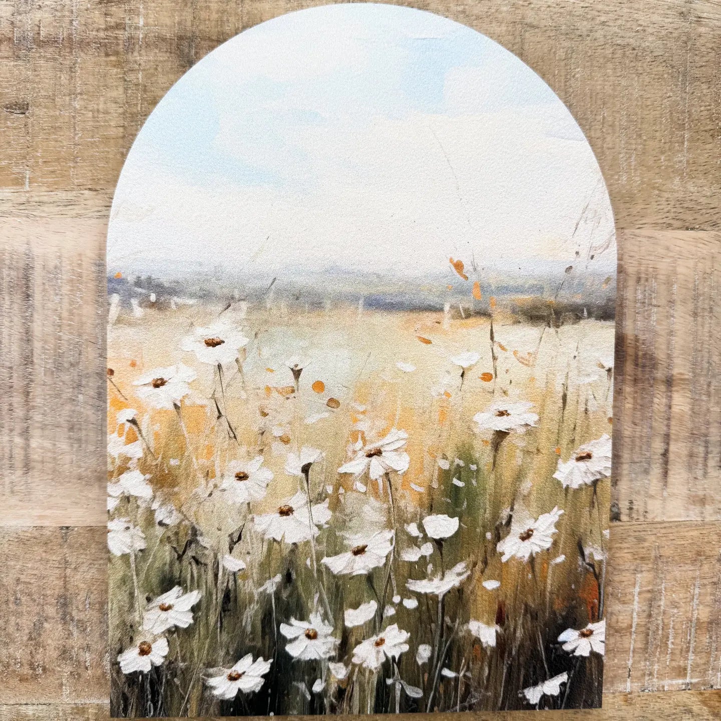 Cora Daises Arch
