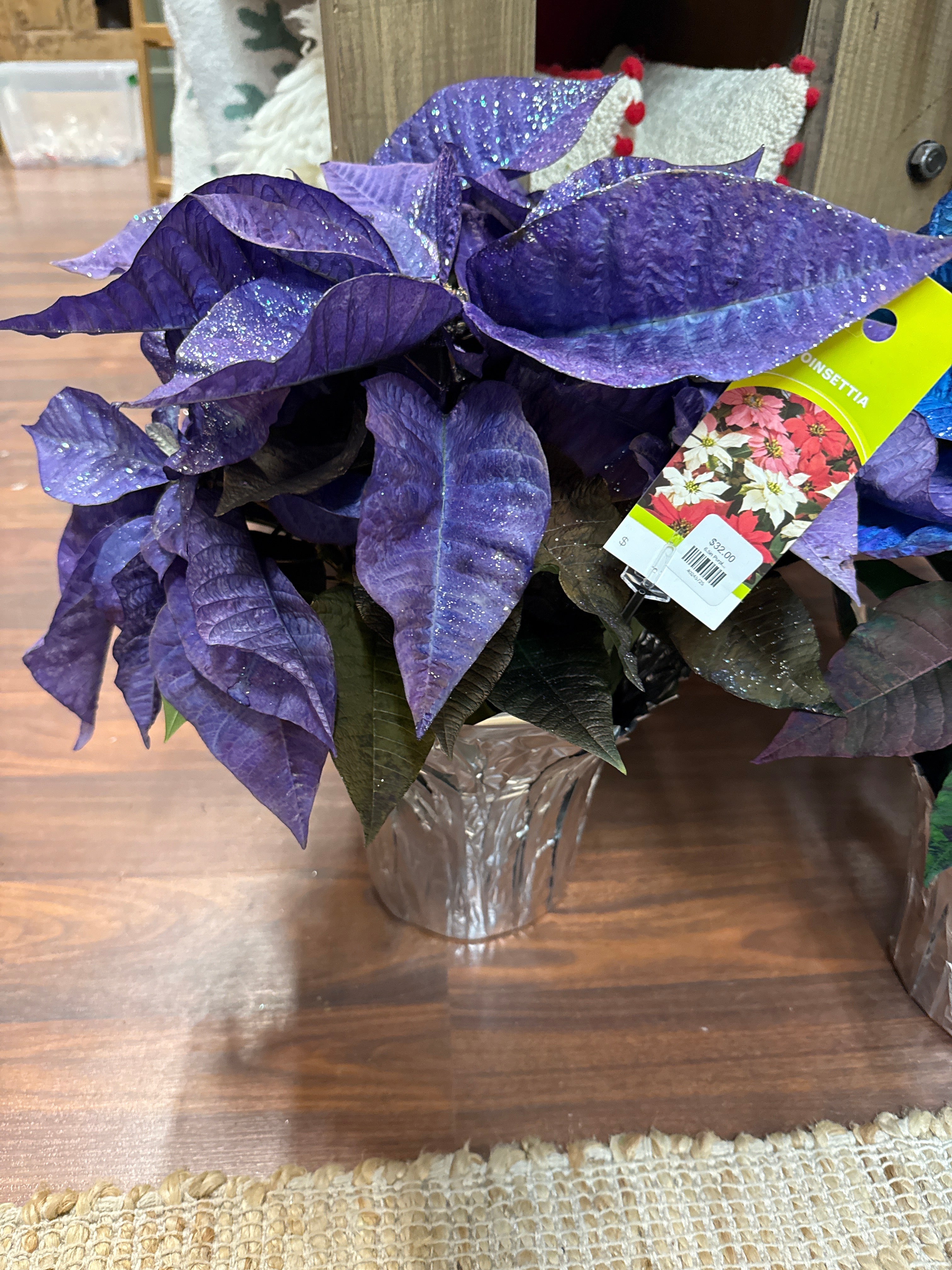 6.5in Purple Poinsettia
