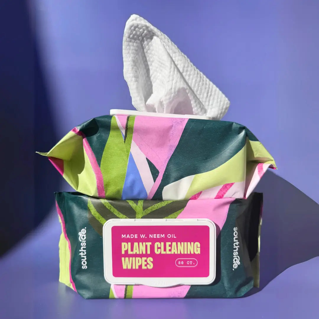 Houseplant Wipes