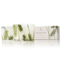 Frasier Fir Poured Candle Set Pine Needle Design