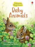 Usborne Beginners