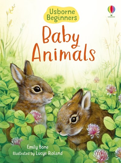 Usborne Beginners