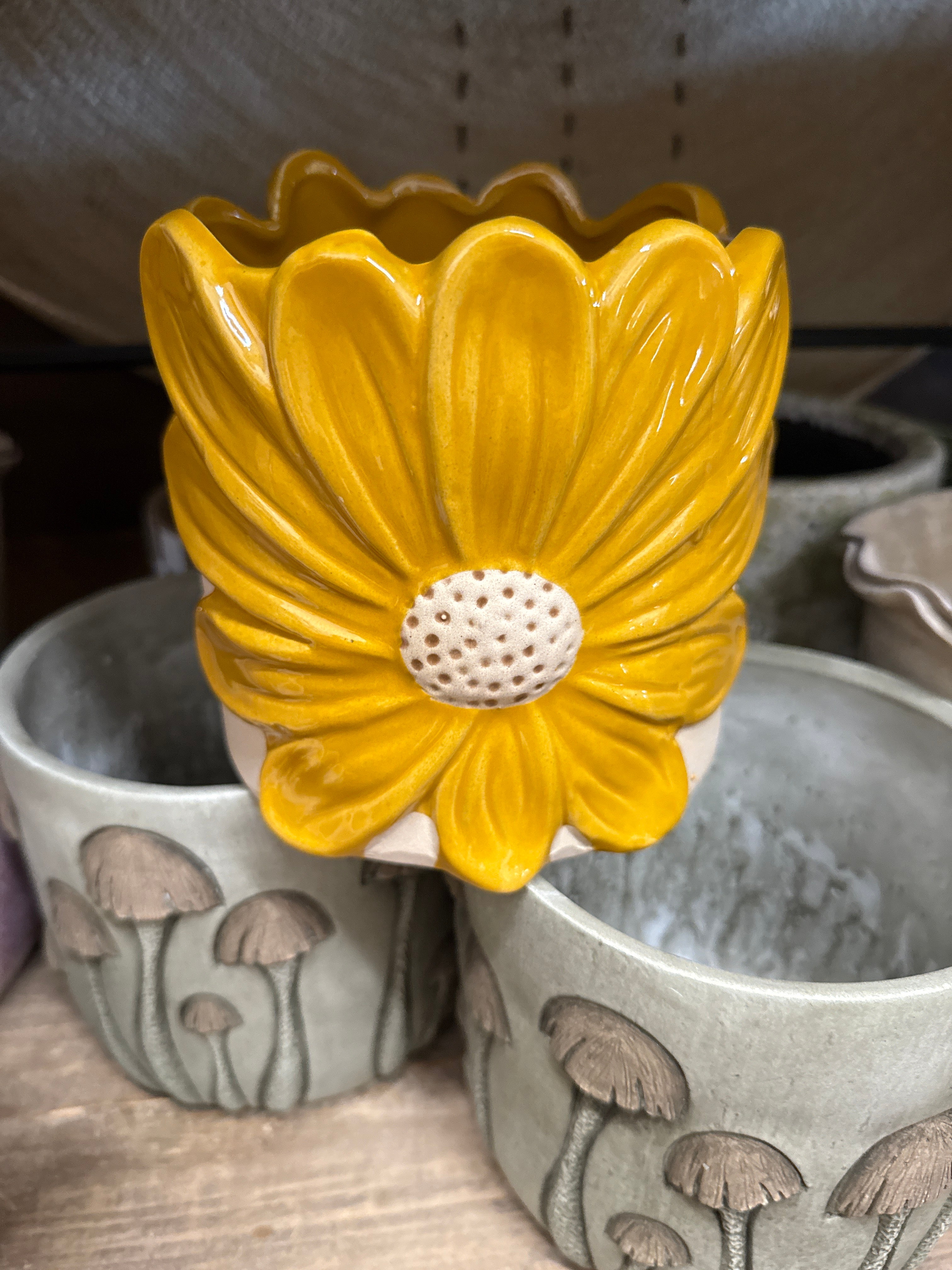 Daisy Planter