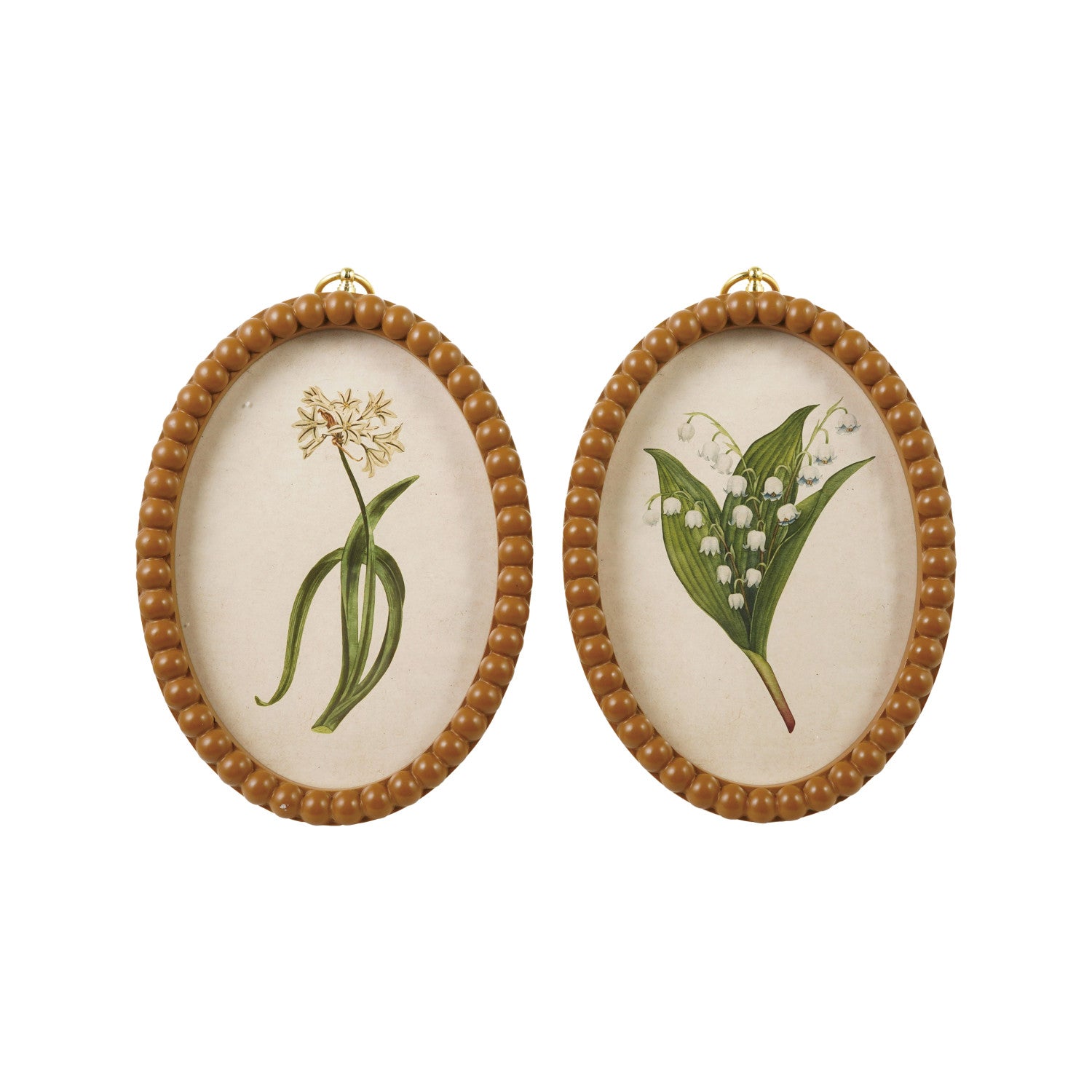 Framed Glass Wall Decor with Gold Ring Hanger