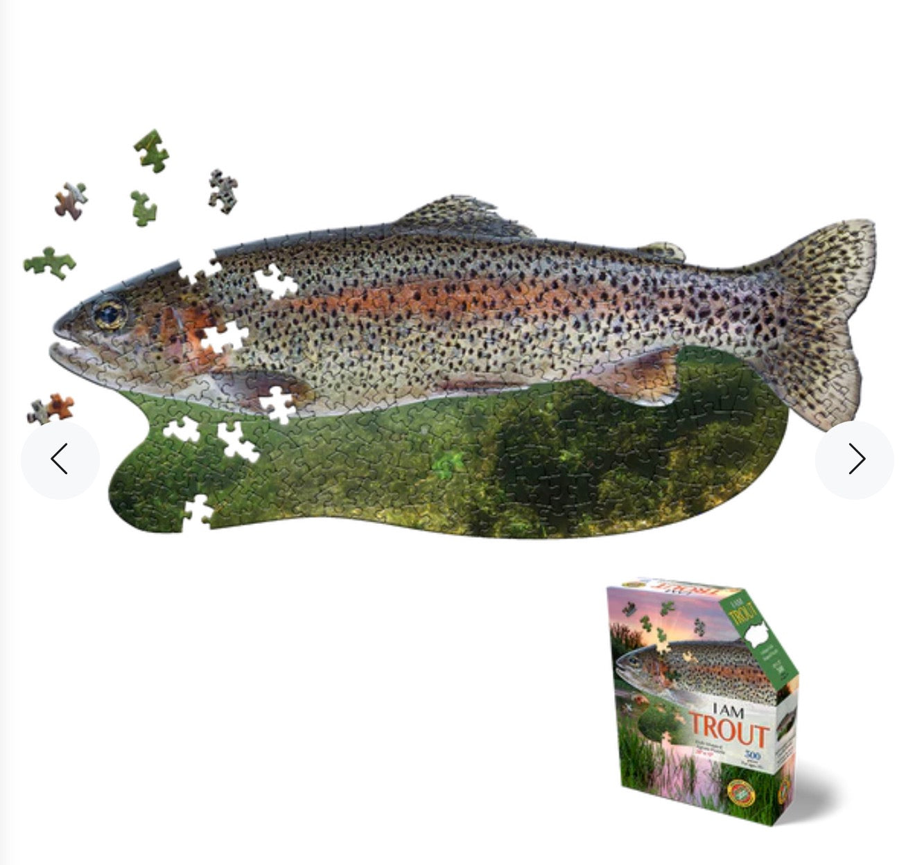 Trout Puzzle