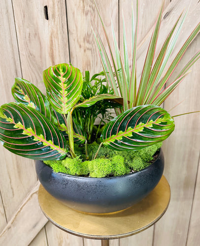 Ceramic Planter with Green Plants