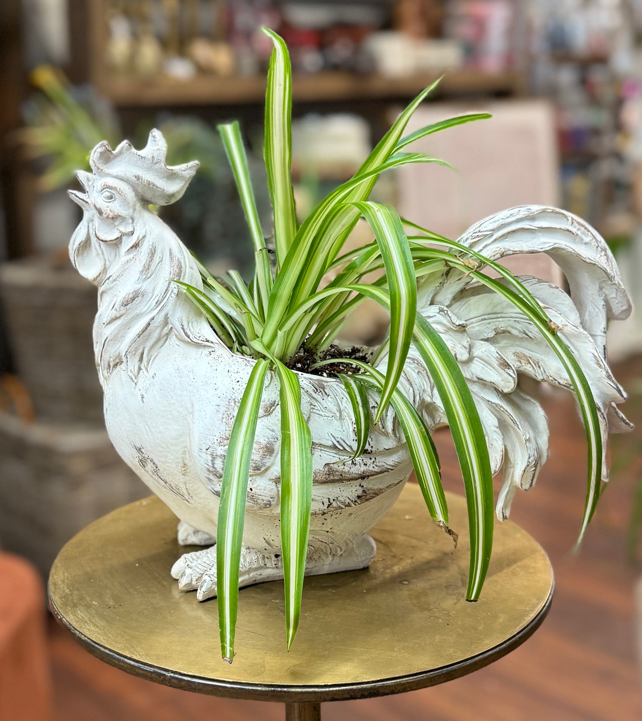 Potted Animals