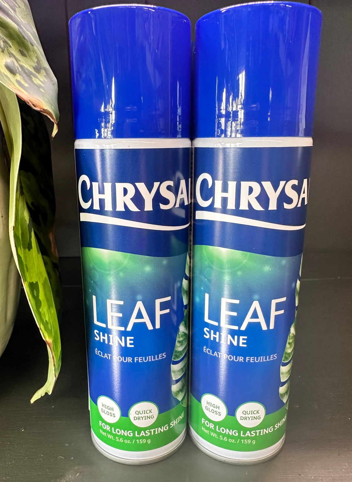 Leaf Shine Crystal