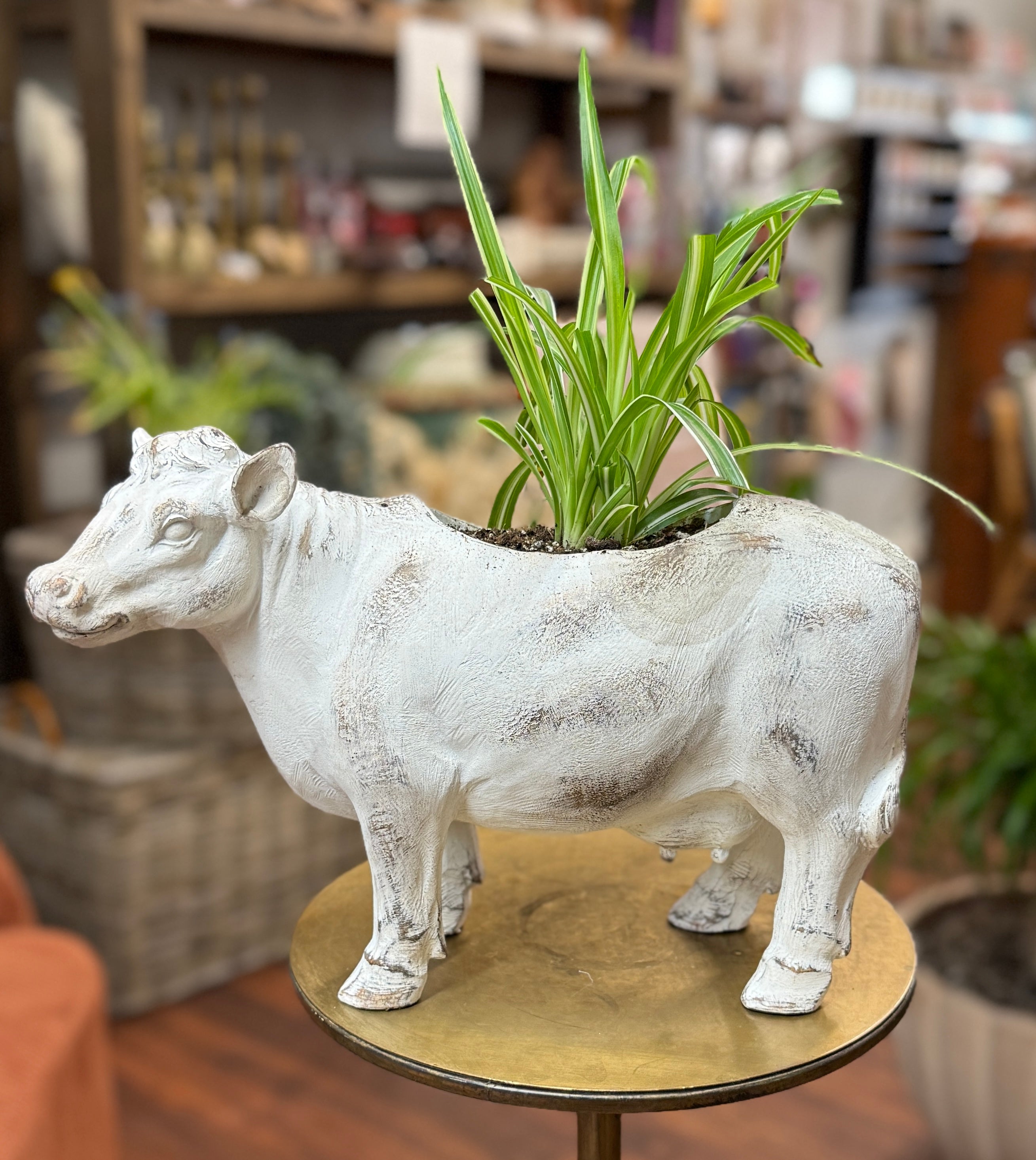 Potted Animals