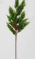 Pinecone Spray