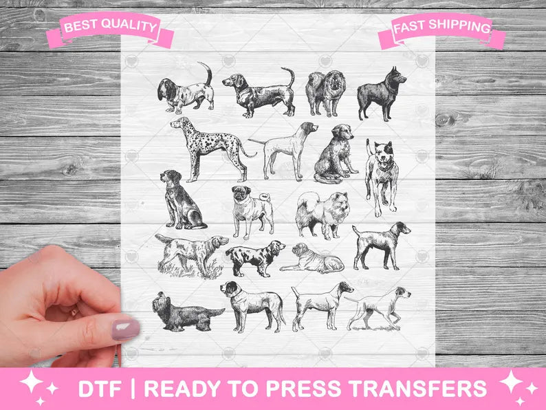 Animal DTF Transfers