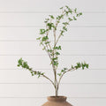Blooming Enkianthus