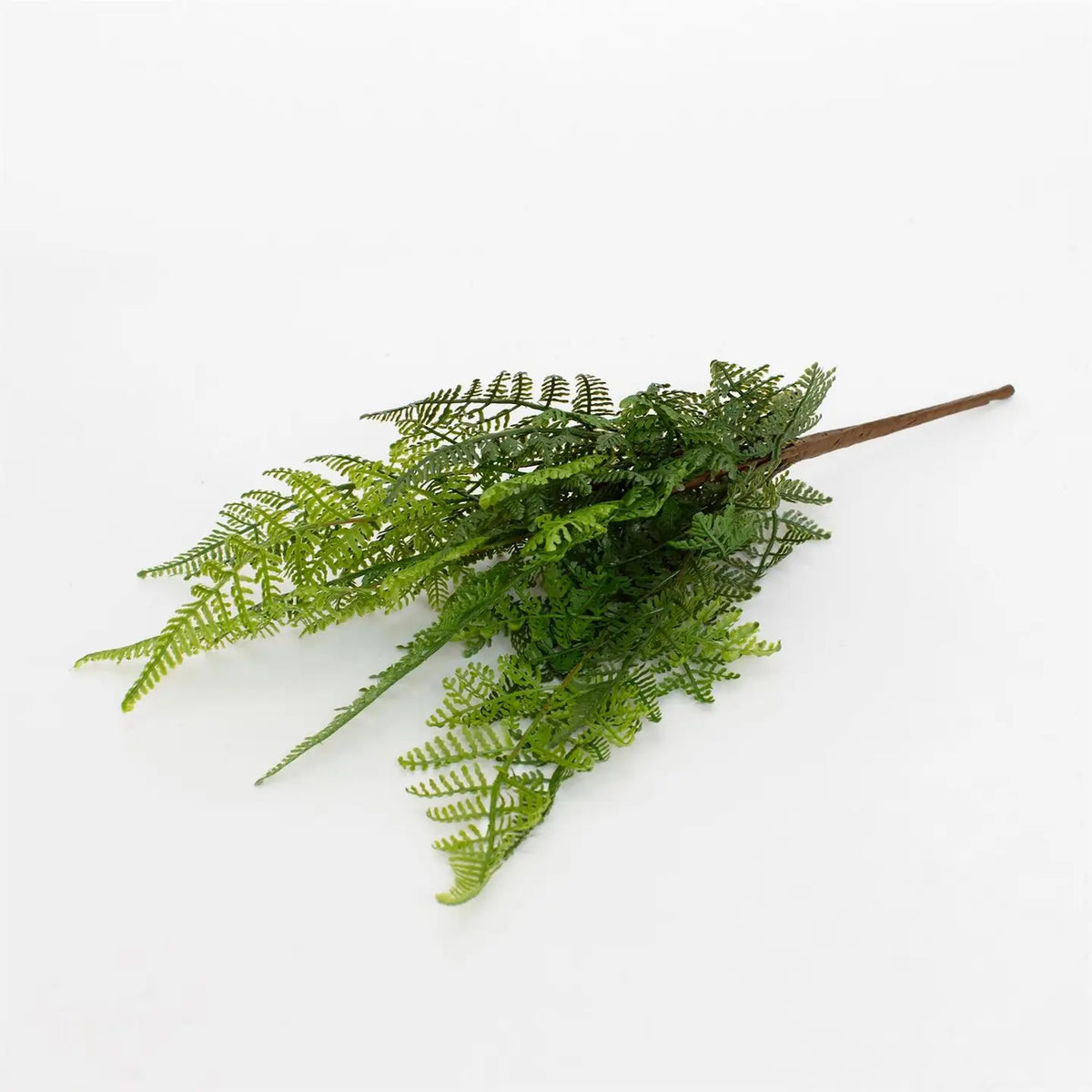 Real Touch Curly Fern