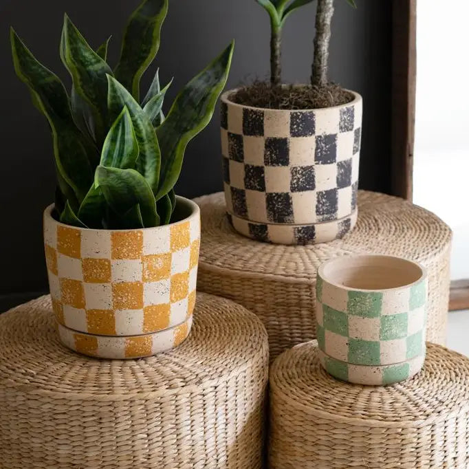 Checkered Clay Planters with Trays