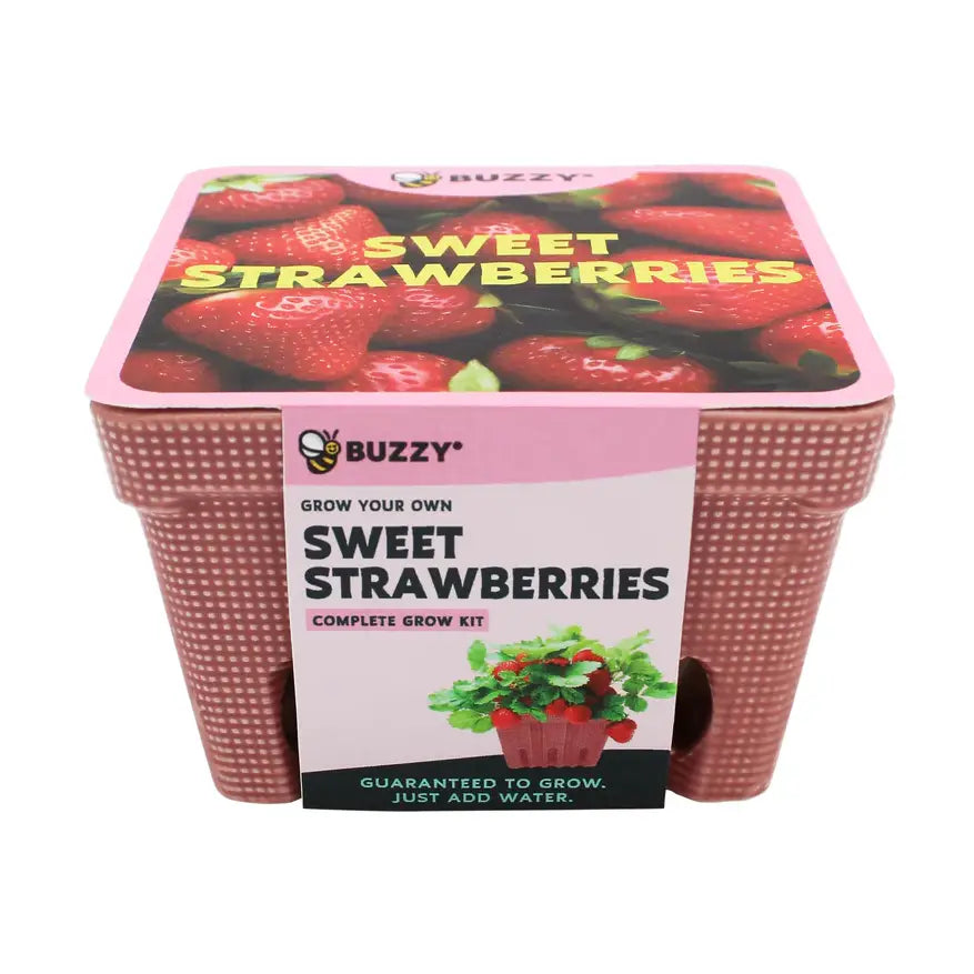 Strawberry Grow Kit