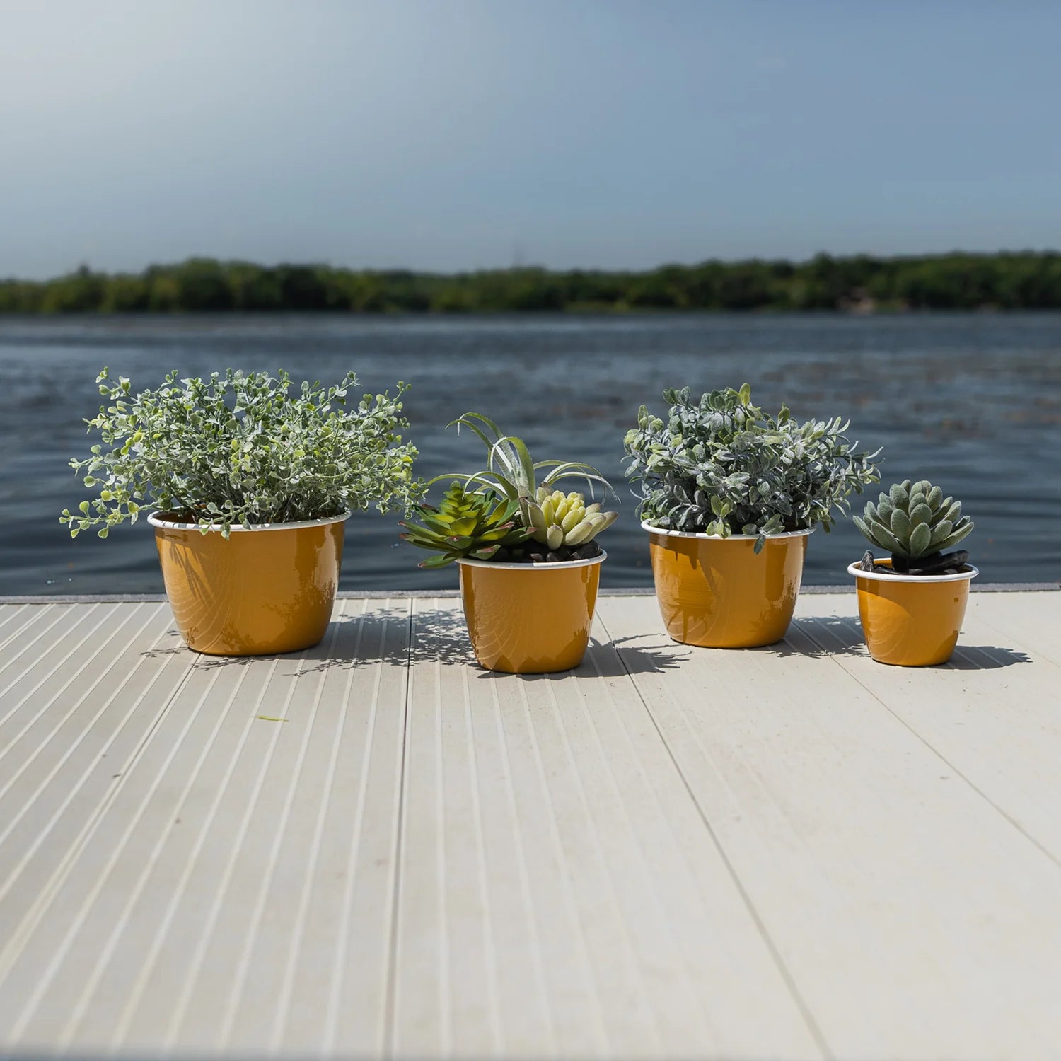 Yellow Planters