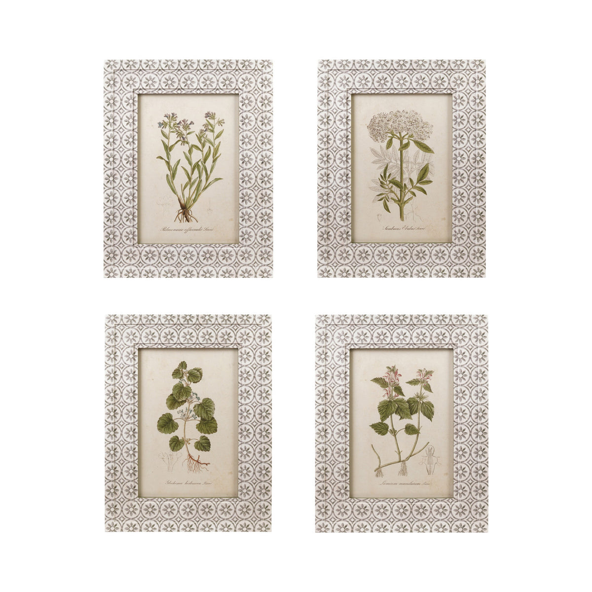 Wall Decor with Vintage Reproduction Image Floral