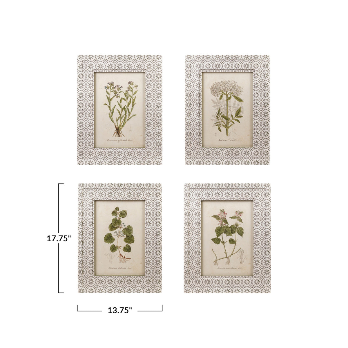 Wall Decor with Vintage Reproduction Image Floral