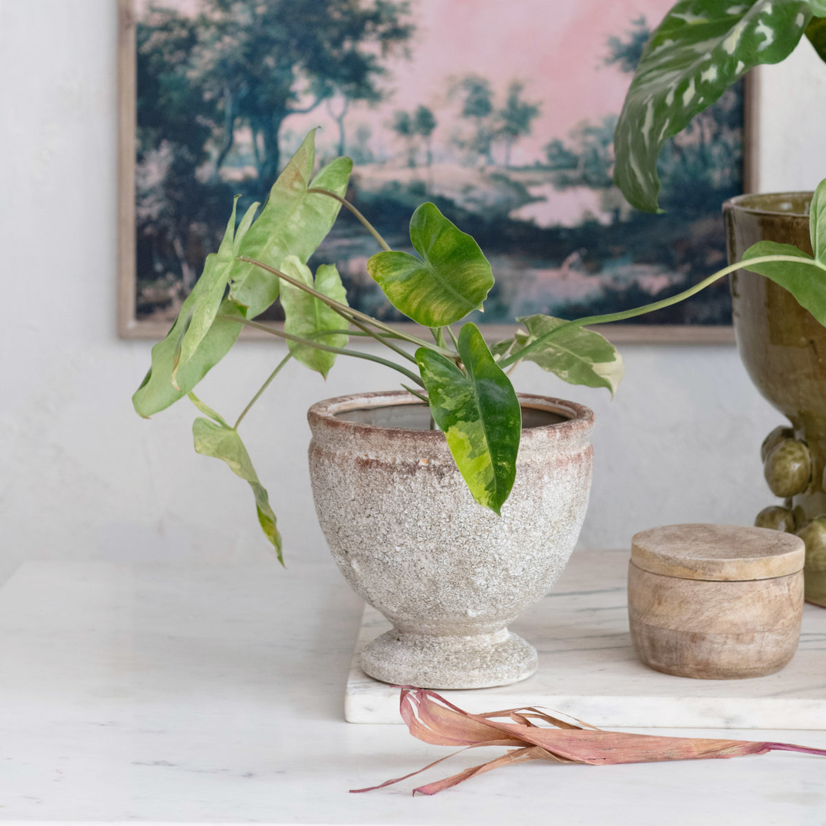 Terra-cotta Footed Planter, Distressed Finish (Holds 5" Pot)