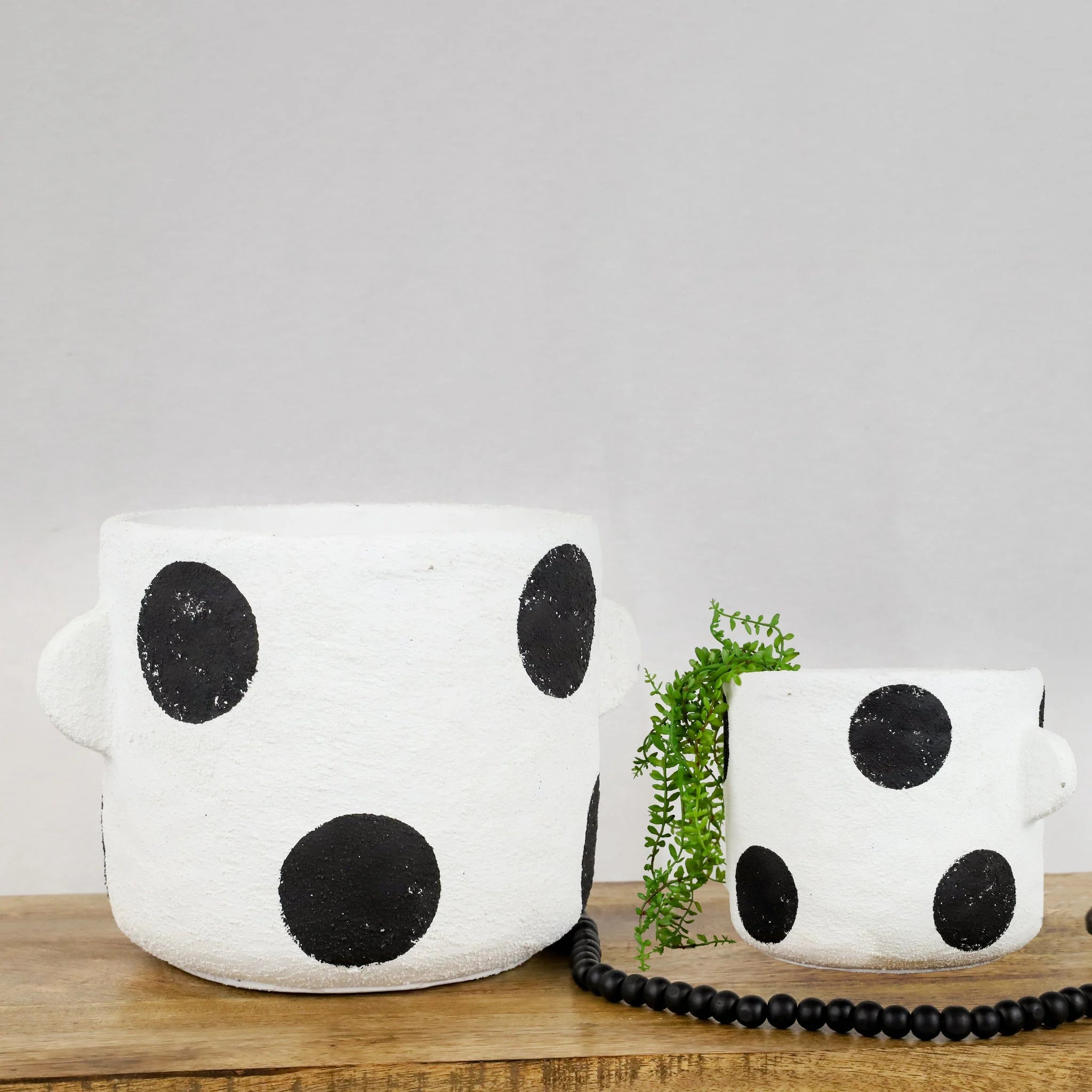 Dot Planter