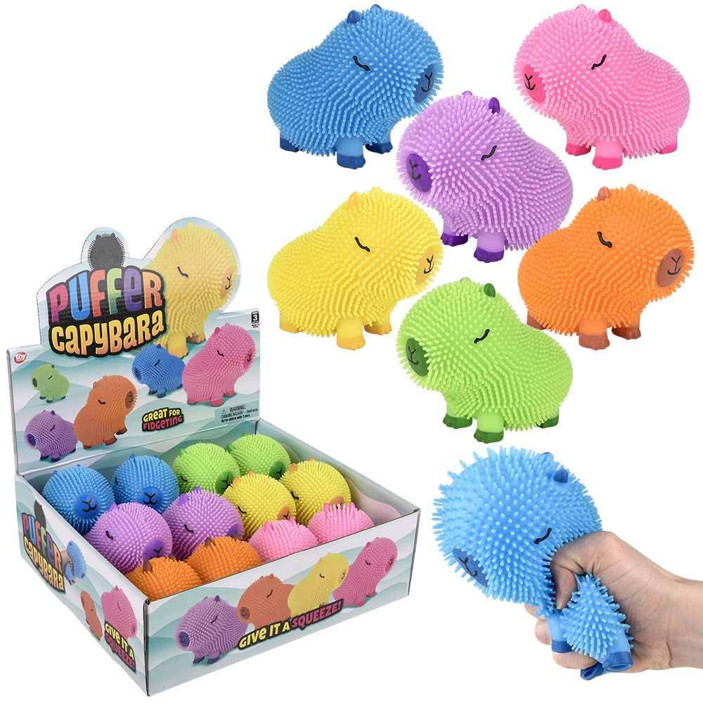 Colorful Capybara