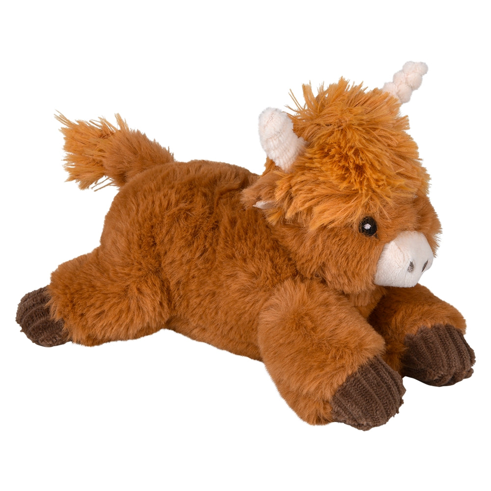 Laying Down Highland Cow